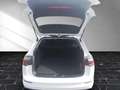 Volkswagen Golf VIII Variant TSI LED AHK ACC PDC SH LM Weiß - thumbnail 16