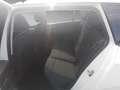 Volkswagen Golf VIII Variant TSI LED AHK ACC PDC SH LM Weiß - thumbnail 14