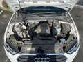 Audi A3 Sportback 30 1.0 tfsi Sport 116cv Blanc - thumbnail 11