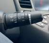 Nissan Primera 1.8 HB Business Edition Blau - thumbnail 21