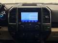 Ford F 150 F-150 Aut. Beige - thumbnail 20