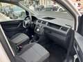 Volkswagen Caddy Nfz Kasten EcoProfi BMT 1-Hand Scheckheft Weiß - thumbnail 8