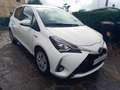 Toyota Yaris 5p 1.5 Business HYBRID (Prezzo Reale) Wit - thumbnail 1