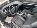 Audi A5 Cabrio 2.0 TFSI,s-line,Navi,Teilleder,Xenon,Pdc Weiß - thumbnail 4