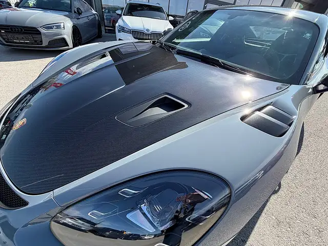 Porsche Cayman 718 Cayman GT4 RS PDK Ansicht 20
