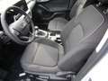 Ford Focus 1.0 EB MHEV TITANIUM Design/Navi/LED/Key Free Blanc - thumbnail 7