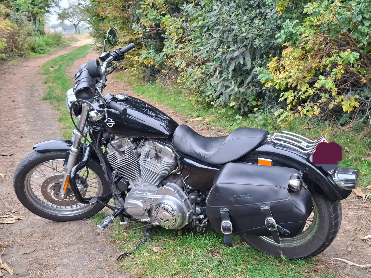 Harley-Davidson Sportster 883 Special Skull Edition Noir - 1