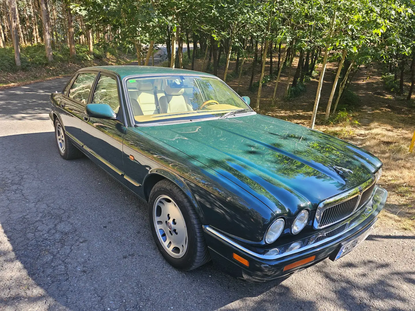 Jaguar XJ6 XJ6 3.2 Sport Sport Zielony - 1