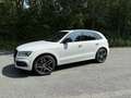 Audi SQ5 Plus 3.0 TDI AHK Kamera B&O Standheizung ACC Black Weiß - thumbnail 2