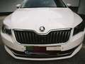 Skoda Superb Superb Kombi 2,0 TDI Style DSG Style Weiß - thumbnail 1