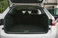 Skoda Superb Superb Kombi 2,0 TDI Style DSG Style Weiß - thumbnail 4
