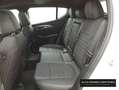 Alfa Romeo Tonale 1.6 DS Sprint FWD Blanco - thumbnail 10