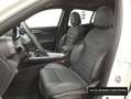 Alfa Romeo Tonale 1.6 DS Sprint FWD Blanco - thumbnail 9