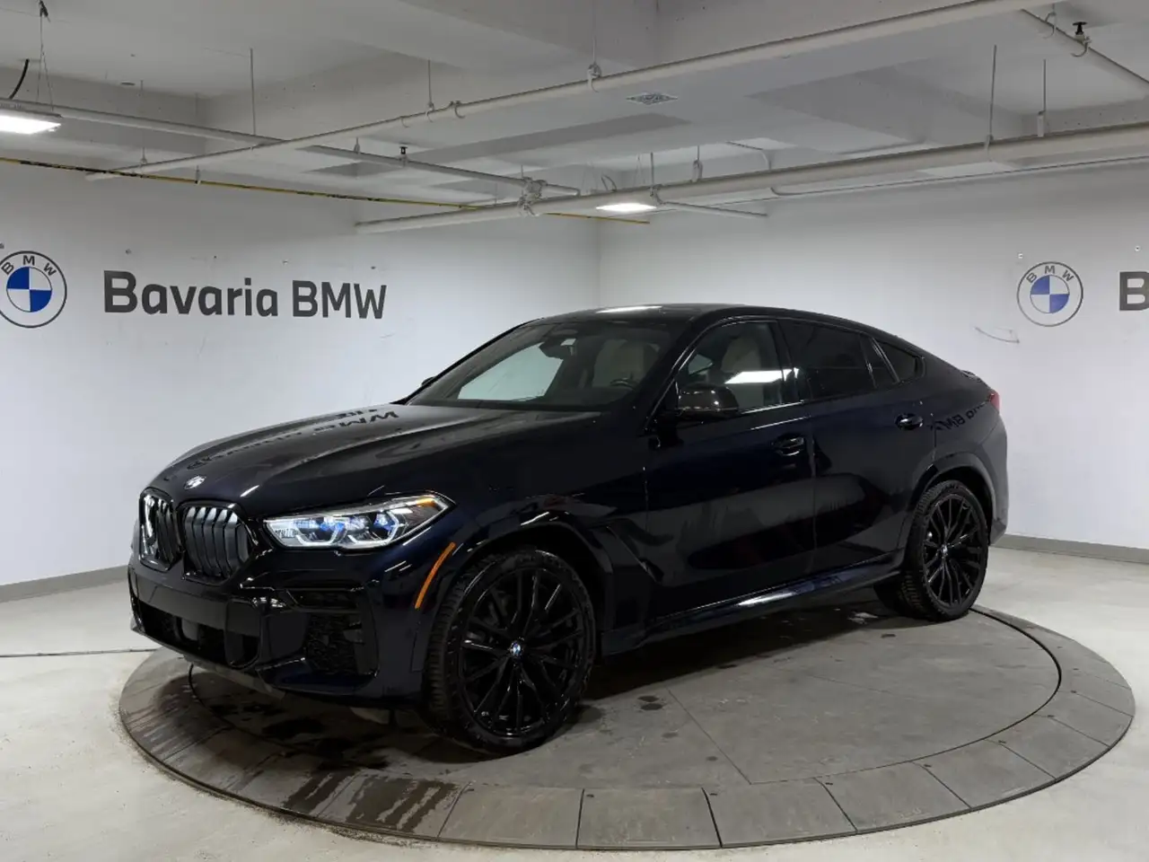 2023 BMW X6
