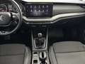 Skoda Octavia Ambition TDI Blau - thumbnail 10