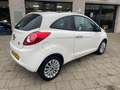 Ford Ka/Ka+ 1.2 Titanium X Panoramadak NAP Beurt Apk Weiß - thumbnail 16