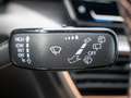 CUPRA Formentor 1.5 TSI SHZ KAMERA ACC MATRIX-LED Grau - thumbnail 14
