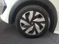 Renault Clio Evolution TCe 115 Weiß - thumbnail 13