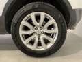 Land Rover Range Rover Evoque 2.0TD4 SE 4WD Aut. 150 Bianco - thumbnail 13
