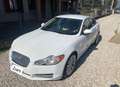 Jaguar XF 3.0d V6 Premium Luxury auto Bianco - thumbnail 1