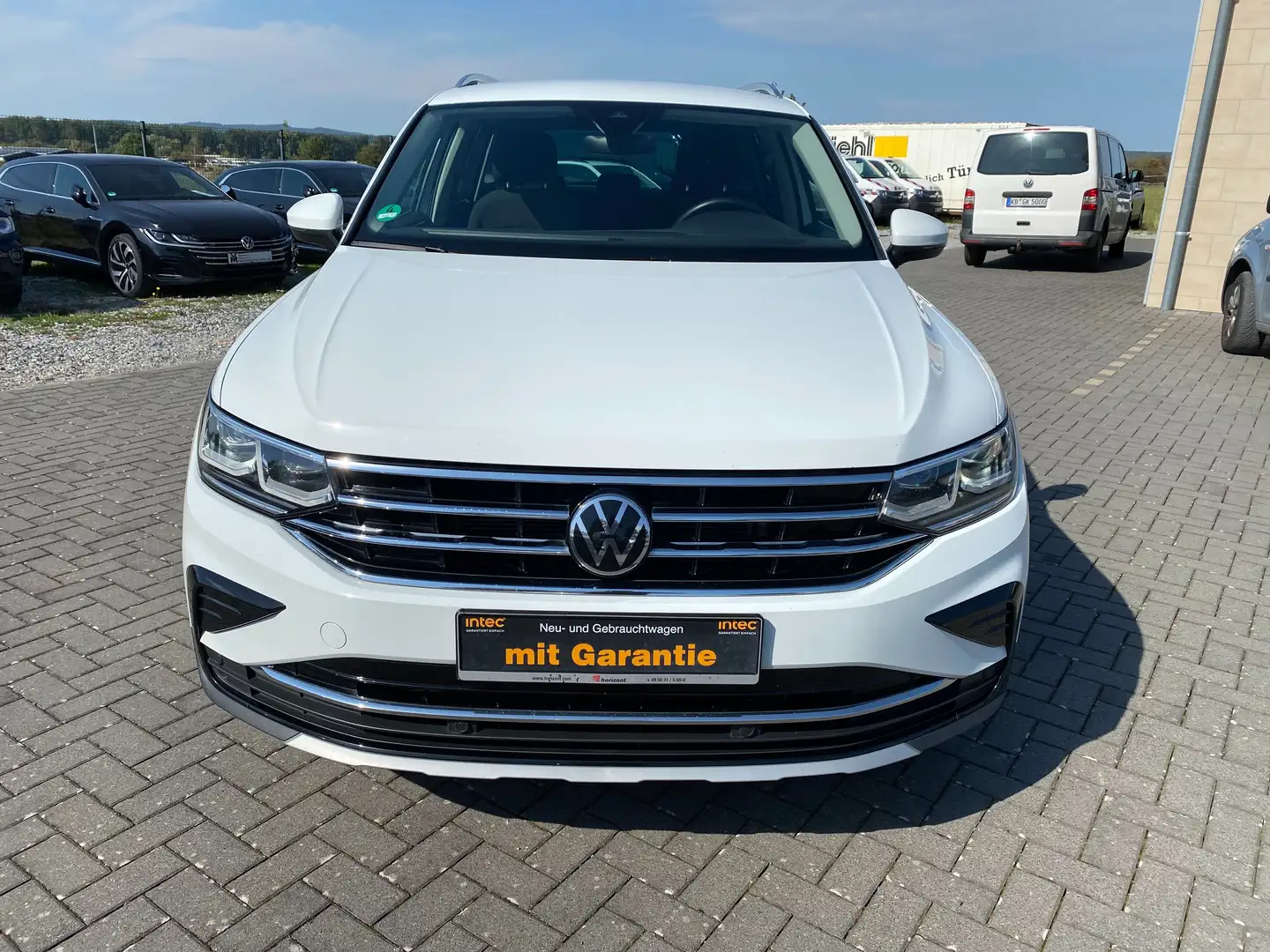 Volkswagen Tiguan Elegance. DSG.Xenon. AHK.DAB. NAVI Leder Alcantara Weiß - 2