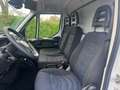 Iveco Daily 35C12 140pk bakwagen + laadklep + zijdeur BTW auto Wit - thumbnail 21
