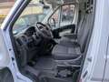Fiat Ducato 35 2.0 MJT doppia cabina  7 posti  cassone  fisso Bianco - thumbnail 8