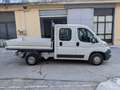 Fiat Ducato 35 2.0 MJT doppia cabina  7 posti  cassone  fisso Bianco - thumbnail 1