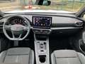CUPRA Formentor 2.0 TDI DSG 4Drive - NAVI+ACC+KAMERA+SHZ Weiß - thumbnail 14