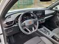 CUPRA Formentor 2.0 TDI DSG 4Drive - NAVI+ACC+KAMERA+SHZ Weiß - thumbnail 10