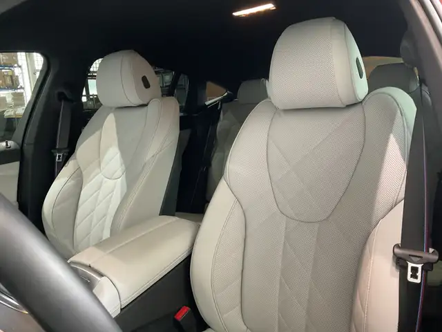 BMW X6 view 8