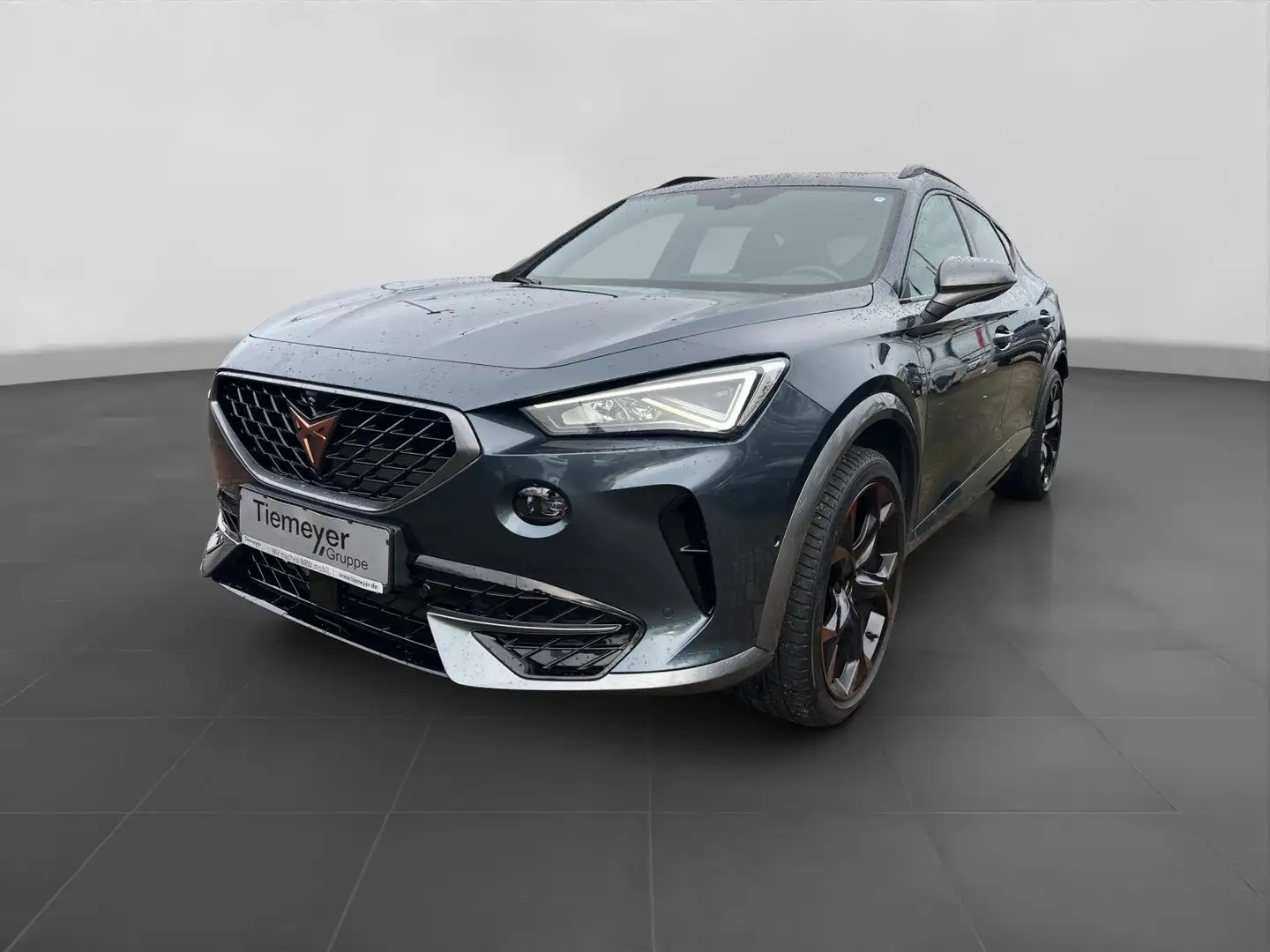 CUPRA Formentor VZ 2.0 TSI LM19 AHK PANO LEDER BEATS Grau - 2