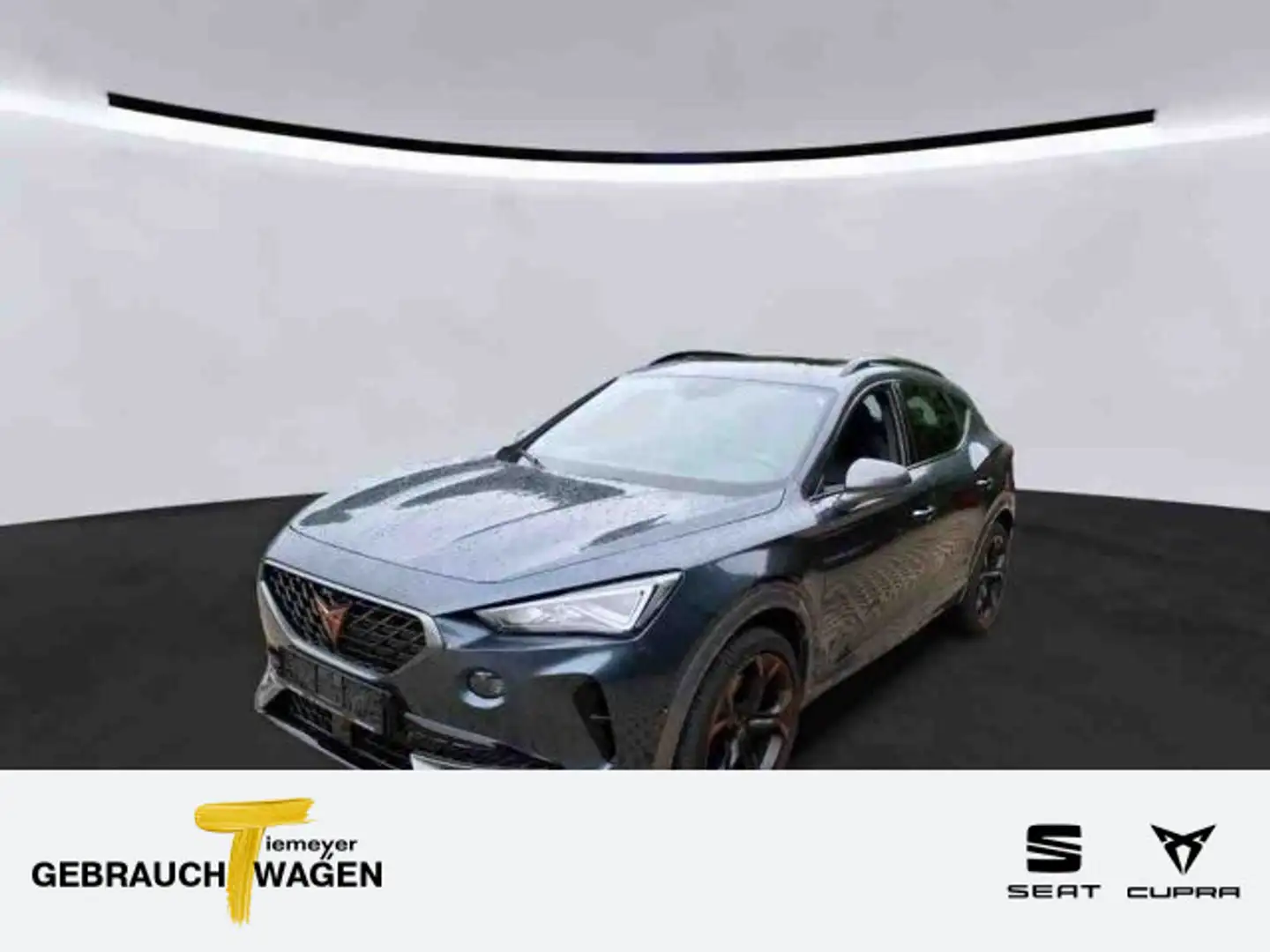 CUPRA Formentor 2.0 TSI VZ LM19 AHK PANO LEDER BEATS Grau - 1