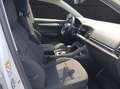 Skoda Karoq TSI Ambition DSG LED Navi GRA PDC SH LM Weiß - thumbnail 15