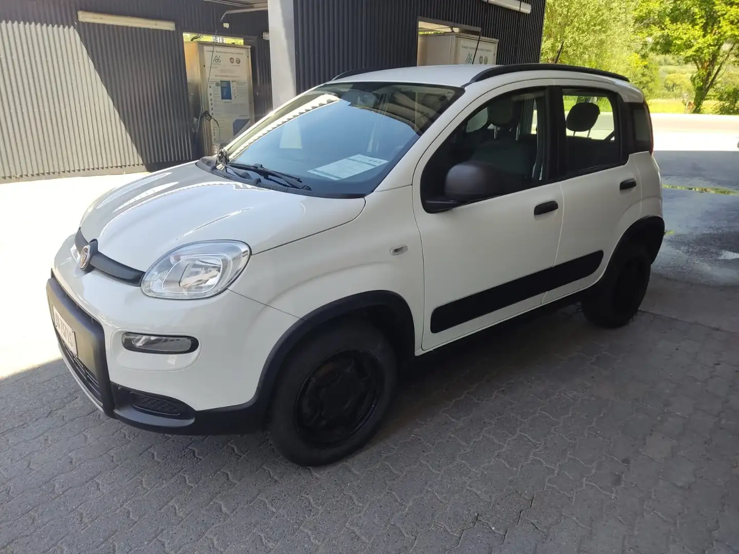 Fiat Panda 4x4 Wild 0.9 TwinAir Turbo S&S Weiß - 2