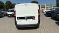 Fiat Doblo Doblò 1.6 MJT 105CV Cargo Business**NETTO IVA** Weiß - thumbnail 4