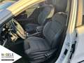 Kia Niro e-Niro Spirit 64 kWh+Navi+3Phasen+LED SHD/Klima Blanc - thumbnail 10