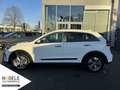 Kia Niro e-Niro Spirit 64 kWh+Navi+3Phasen+LED SHD/Klima Blanc - thumbnail 4
