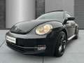 Volkswagen Beetle Lim. Design SITZHEIZUNG PANO - thumbnail 5