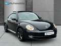 Volkswagen Beetle Lim. Design SITZHEIZUNG PANO - thumbnail 1
