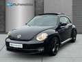 Volkswagen Beetle Lim. Design SITZHEIZUNG PANO - thumbnail 4