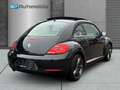 Volkswagen Beetle Lim. Design SITZHEIZUNG PANO - thumbnail 6