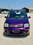 Fiat Panda 1.2 benzina Dynamic Mamy UNIPROPRIETÀ neopatentat - thumbnail 2