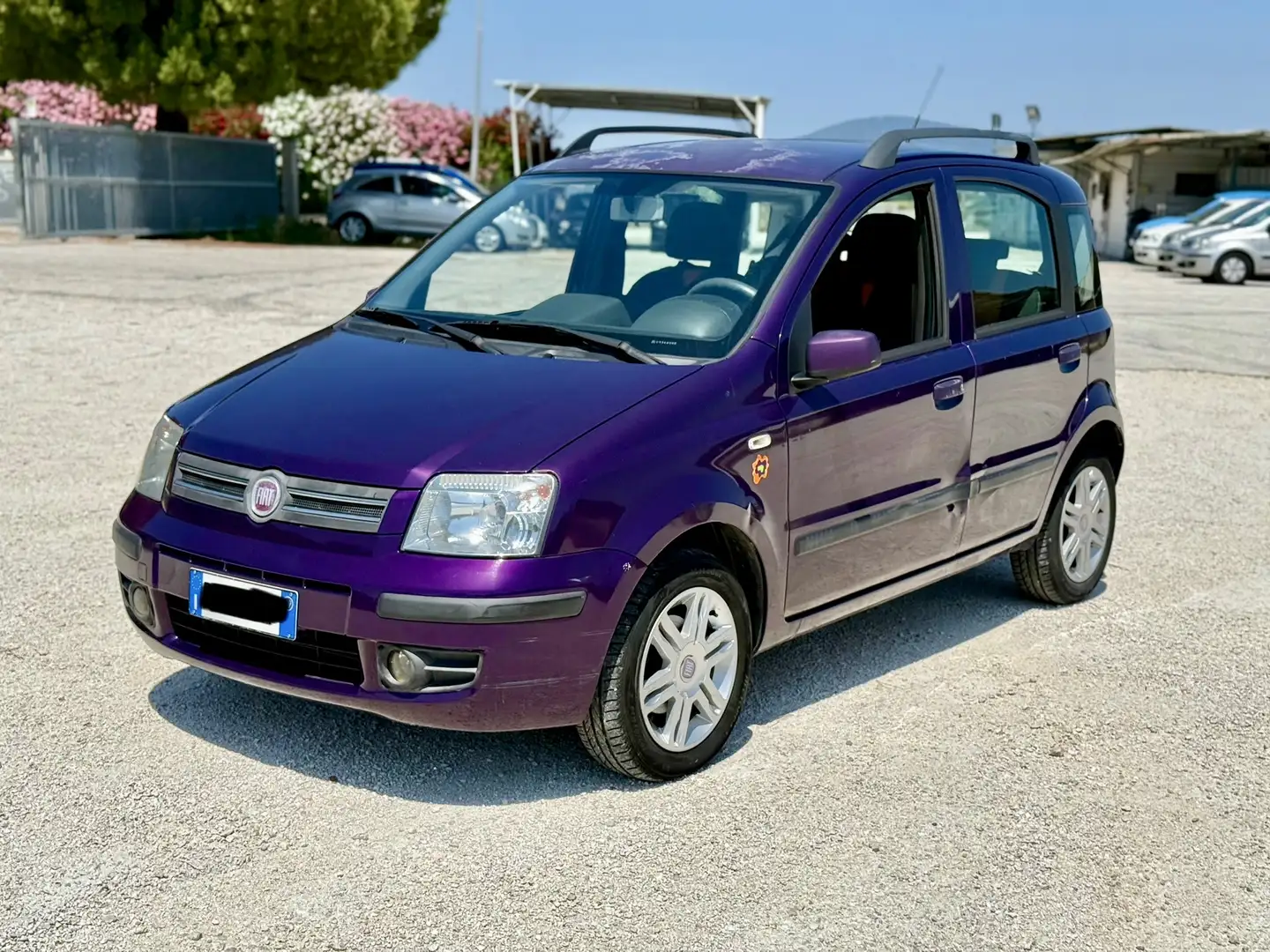 Fiat Panda 1.2 benzina Dynamic Mamy UNIPROPRIETÀ neopatentat - 1
