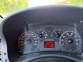 Fiat Panda 1.2 benzina Dynamic Mamy UNIPROPRIETÀ neopatentat - thumbnail 15