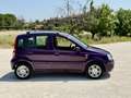 Fiat Panda 1.2 benzina Dynamic Mamy UNIPROPRIETÀ neopatentat - thumbnail 6