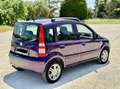 Fiat Panda 1.2 benzina Dynamic Mamy UNIPROPRIETÀ neopatentat - thumbnail 4