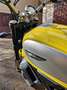 Ducati Scrambler Giallo - thumbnail 9
