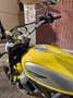 Ducati Scrambler Giallo - thumbnail 5