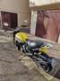 Ducati Scrambler Giallo - thumbnail 6